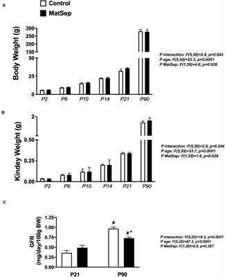 Intrarenal Renin Angiotensin System Imbalance During Postnatal Life Is Associated With Increased Microvascular Density in the Mature Kidney